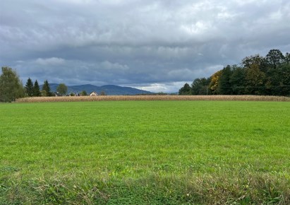 działka na sprzedaż - Ustroń, Lipowiec